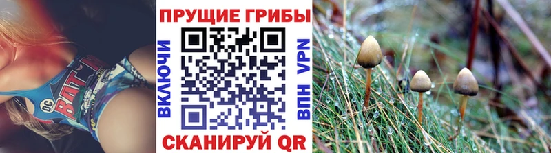 Купить закладки  Рузаевка  Галлюциногенные грибы Cubensis 